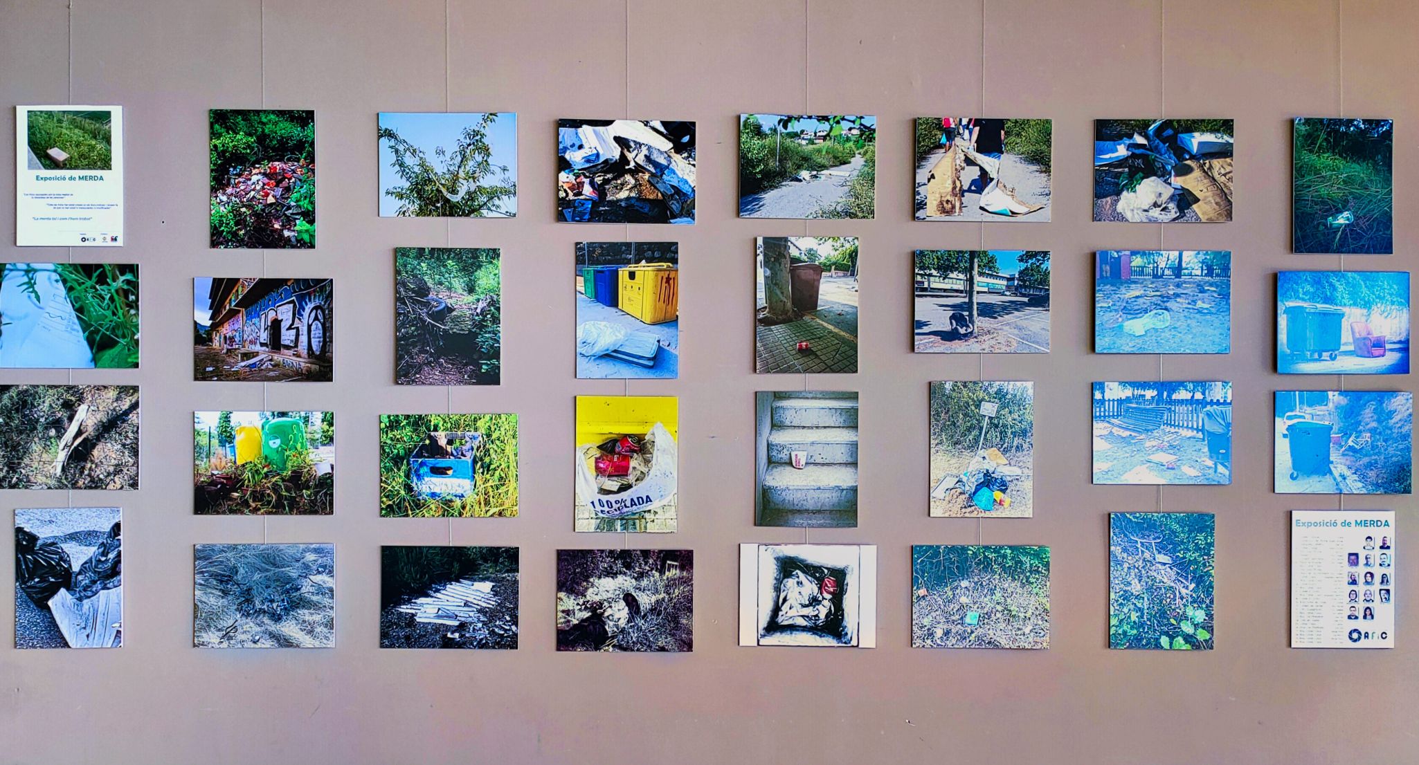 Exposició de merda al Institut